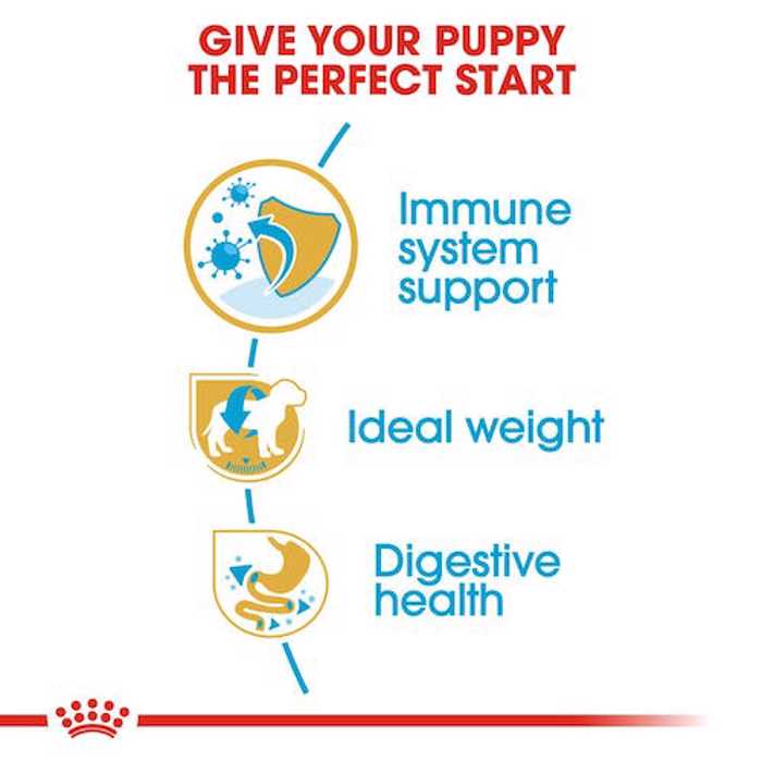 ROYAL CANIN SCHNAUZER JUNIOR 1.5K XIRA TROFI SKuLOu